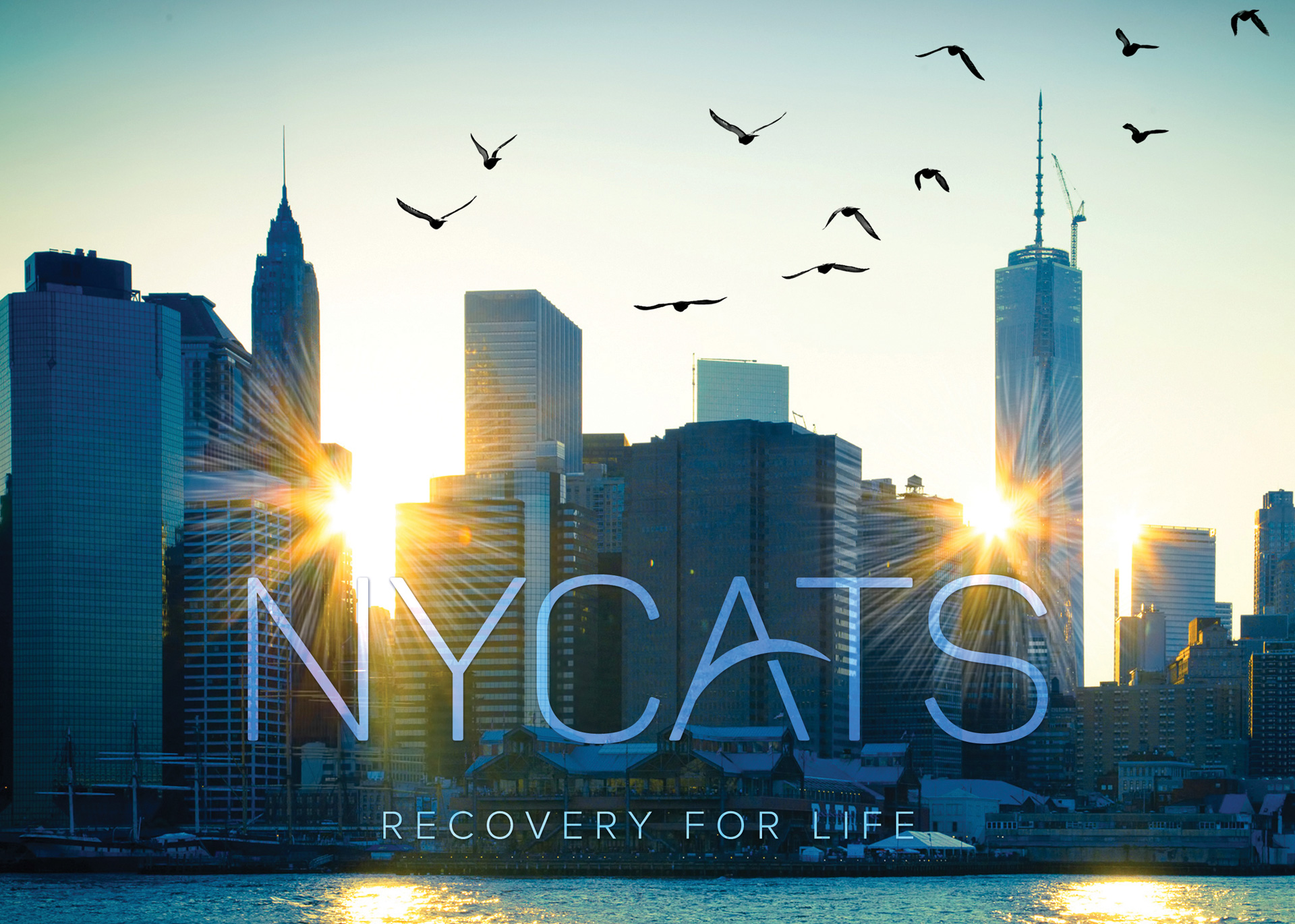 nycats_logo_1