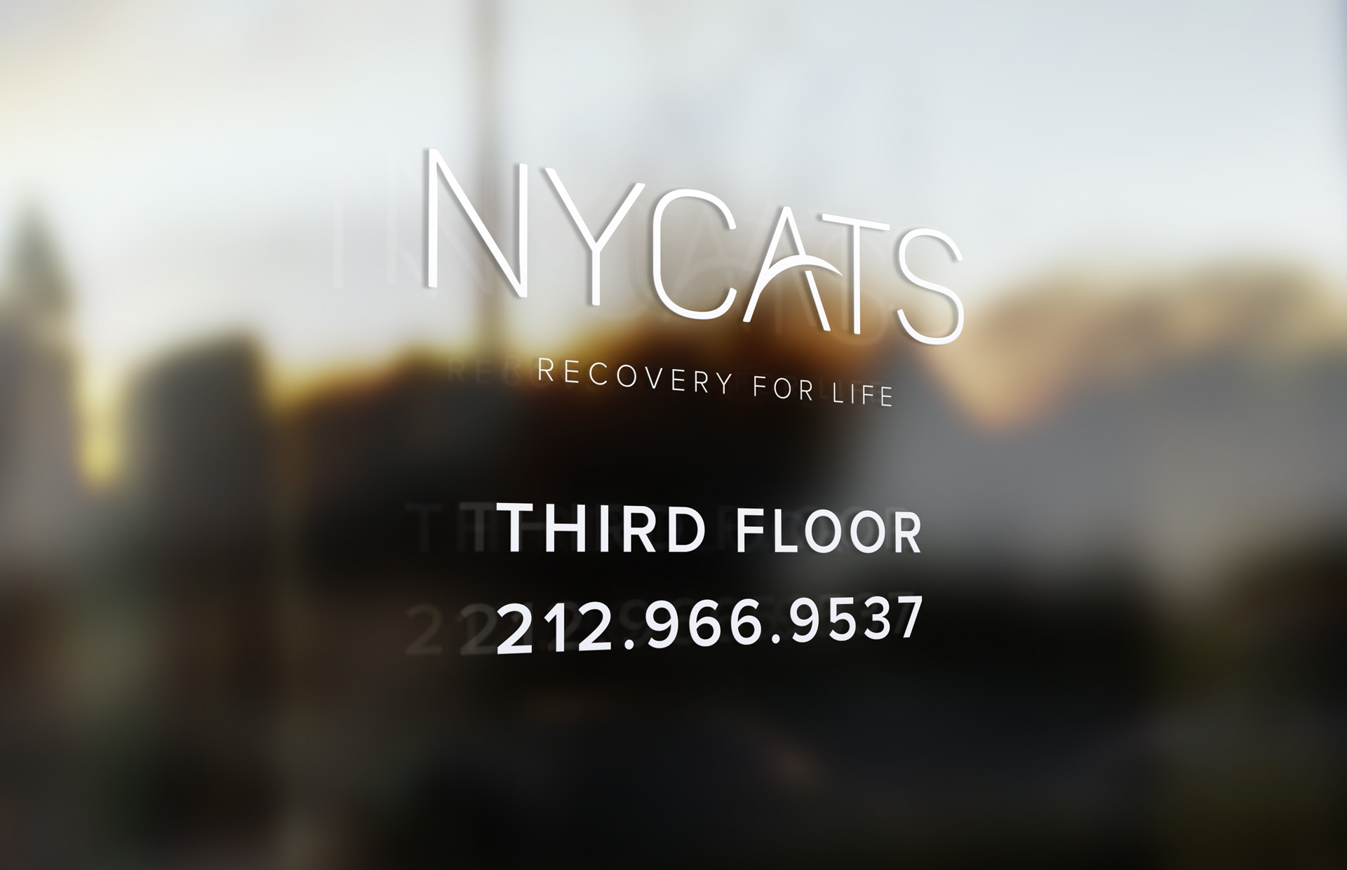 nycats_door_7b