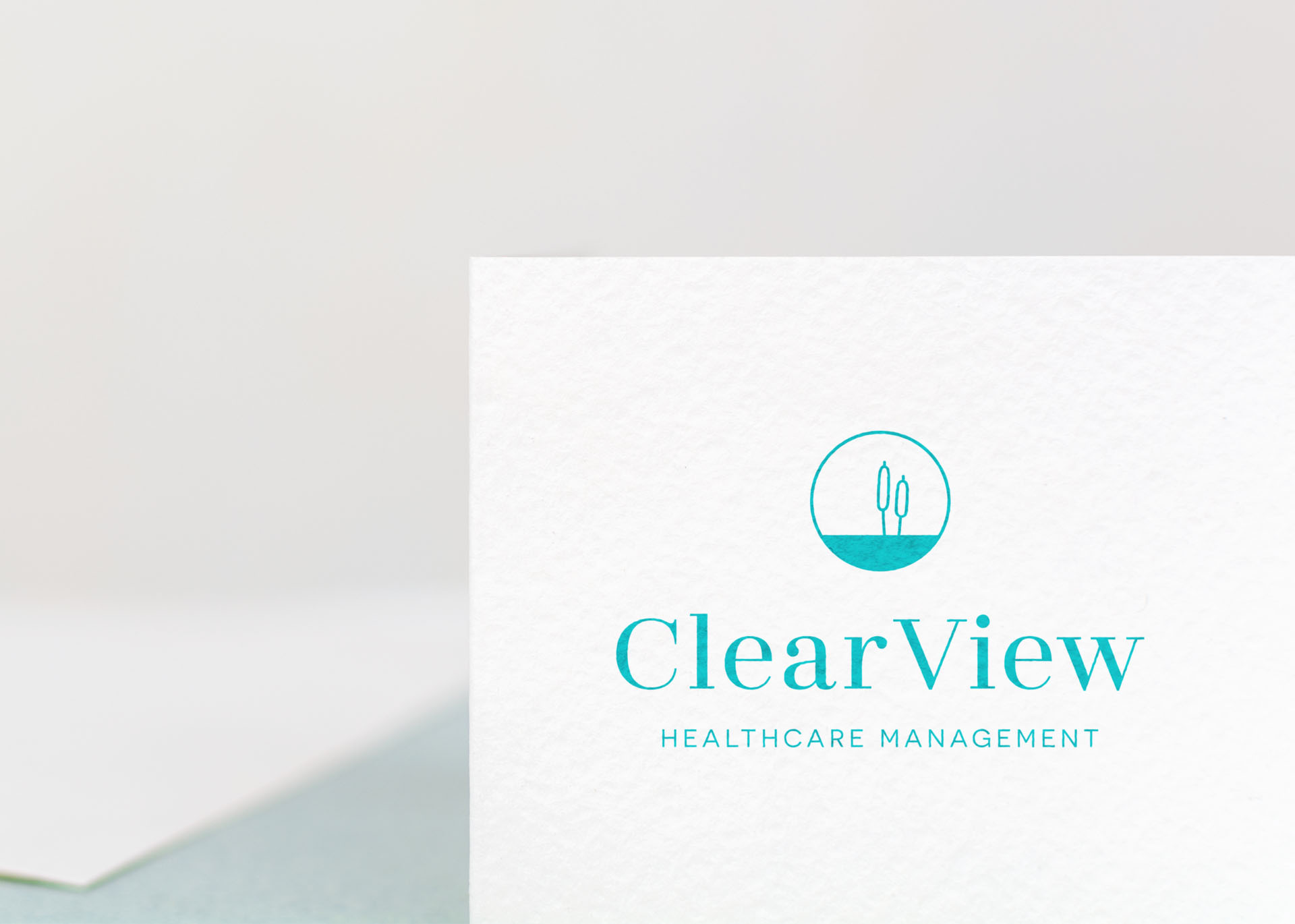 Clearview_logo_1 close
