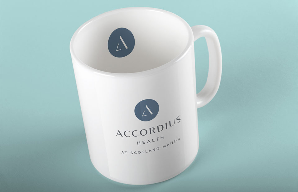 Accordius_3_mug_small
