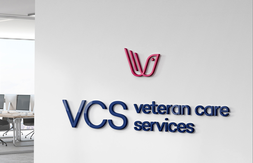 VCS_3 new