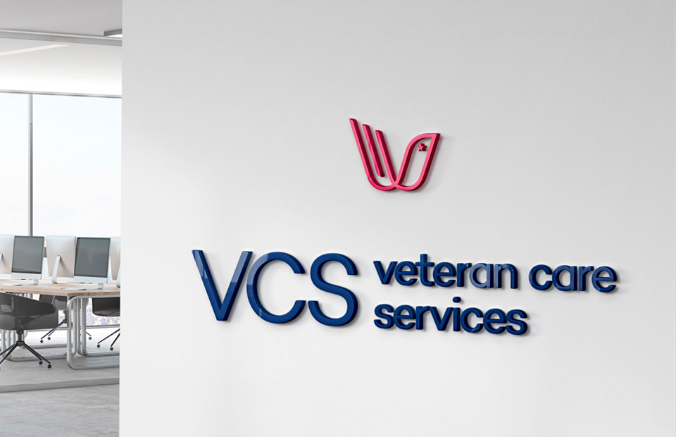 VCS_web logo1